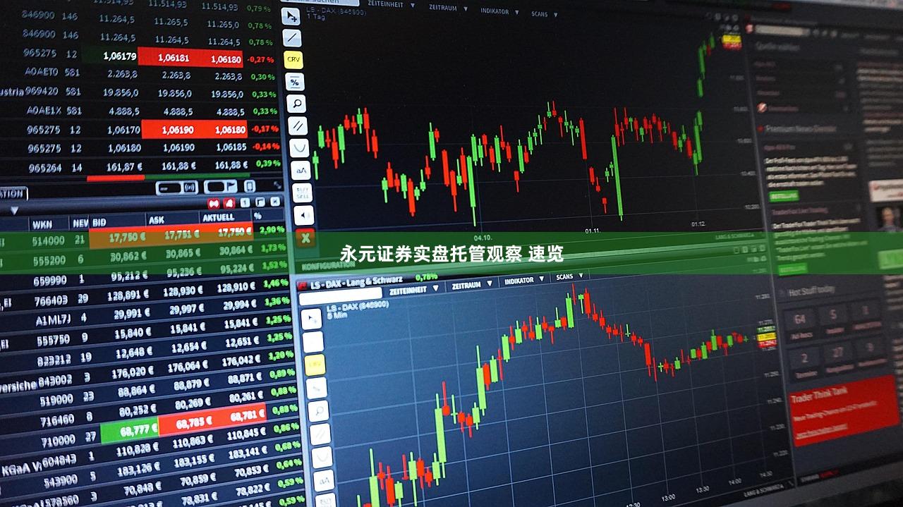 永元证券实盘托管观察 速览