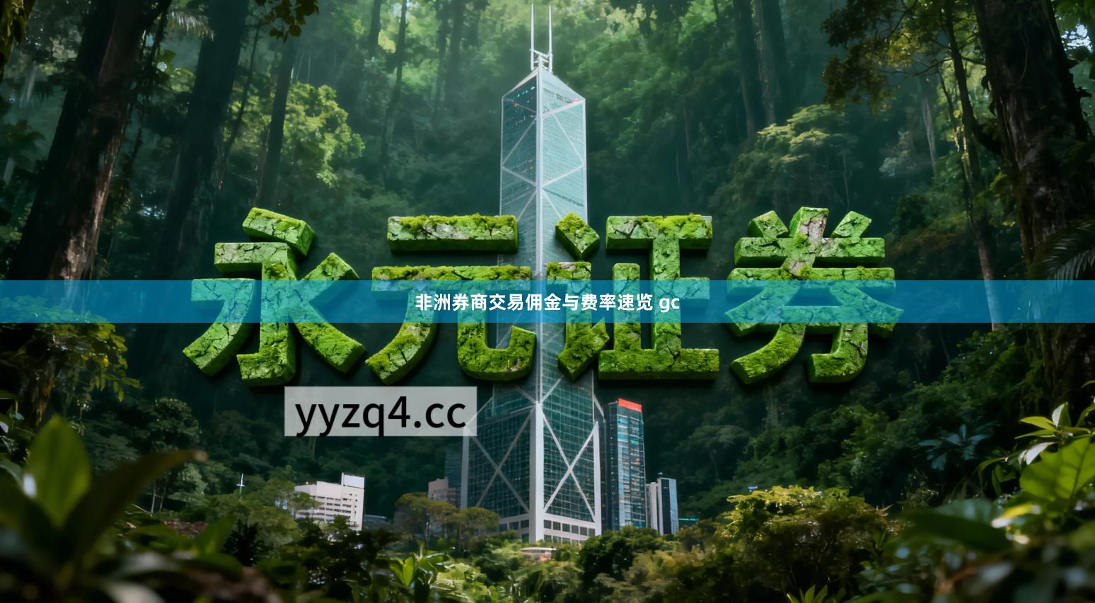 非洲券商交易佣金与费率速览 gc